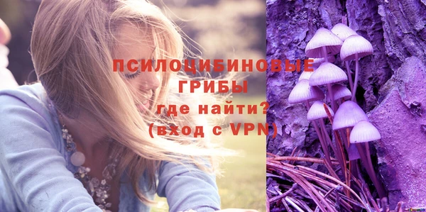 прущий лед Богородск