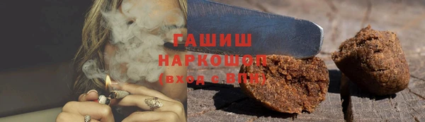 гидра Богданович