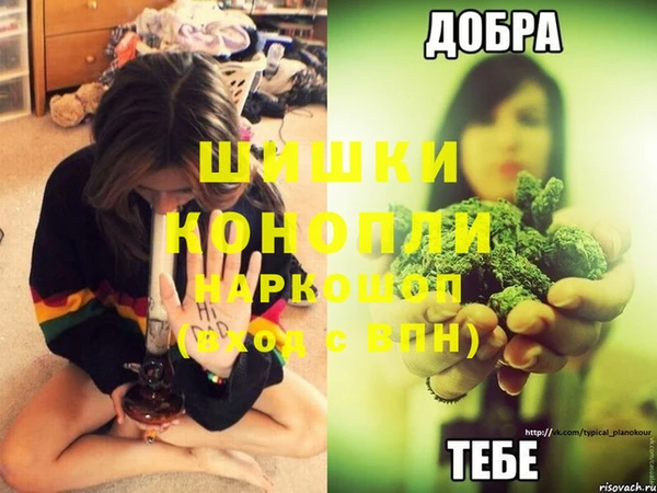 гидра Богданович