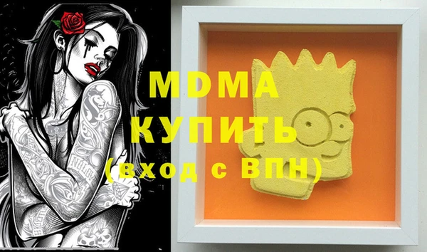индика Заволжье
