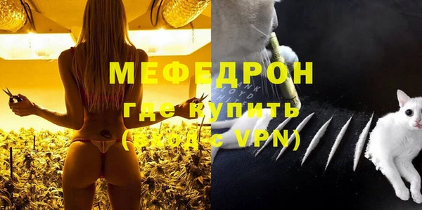 гидра Богданович