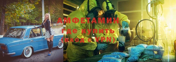 гидра Богданович