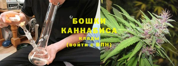 гидра Богданович