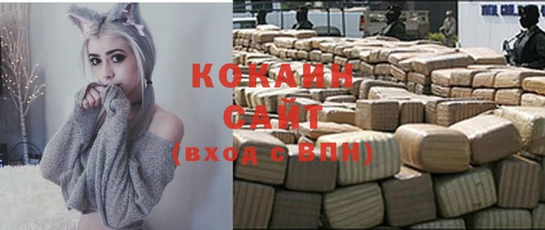 гидра Богданович