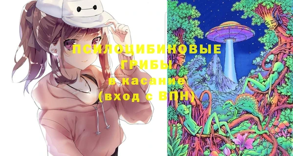 гидра Богданович