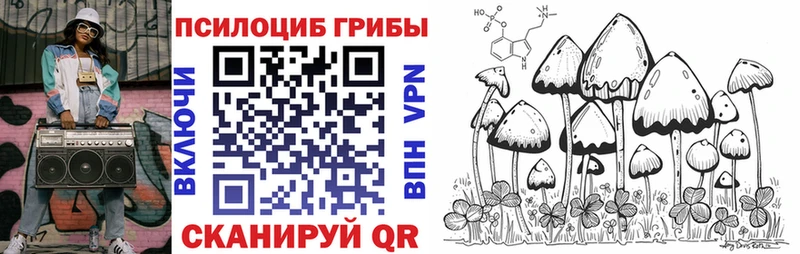 Псилоцибиновые грибы Cubensis  Дальнегорск 